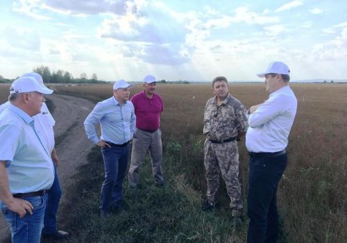 Погода на неделю в нуримановском районе. Сельское хозяйство в Нуримановском районе. Полиция Нуримановский район. Ново Субай Нуримановский район. Газовый участок Нуримановский район красная горка коллектив.