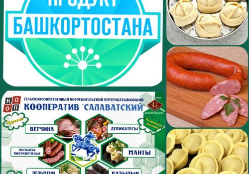 Проект продукт башкортостана