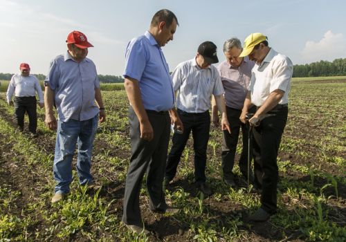 В Башкирском ГАУ будущие агрономы «сдают поля»