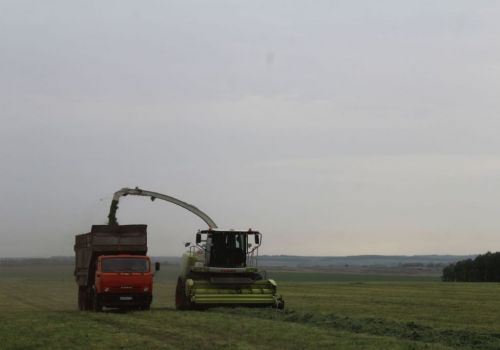 В Башкортостане заготовили треть необходимого количества кормов