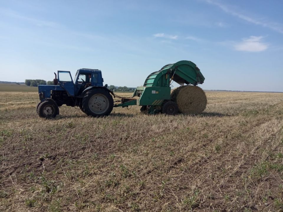 Зерновое хозяйство картинки